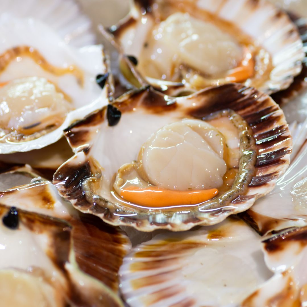 coquilles saint jacques cuisinées