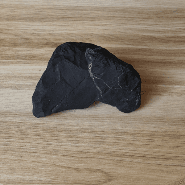 Shungite - Pierre brute – TM (Taille Moyenne)